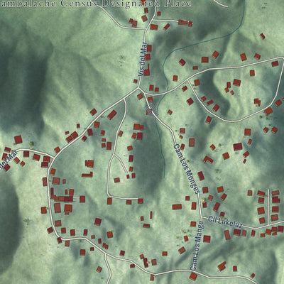 Close-up of the map of Cambalache, Puerto Rico print showing street and building detail