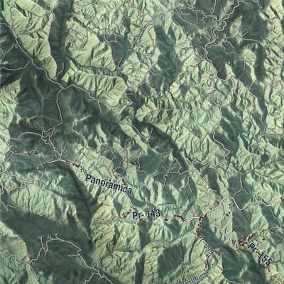 Close-up of the map of Coamo, Puerto Rico print showing street and building detail