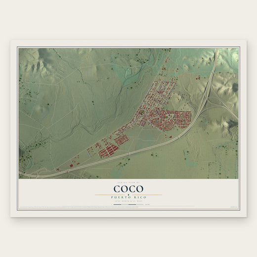 Coco, Puerto Rico map print, the full design