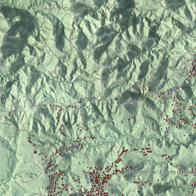 Close-up of the map of Comerío, Puerto Rico print showing street and building detail