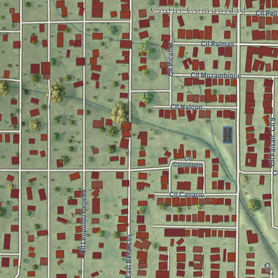 Close-up of the map of Coquí, Puerto Rico print showing street and building detail