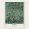 Florida, Puerto Rico map print, the full design