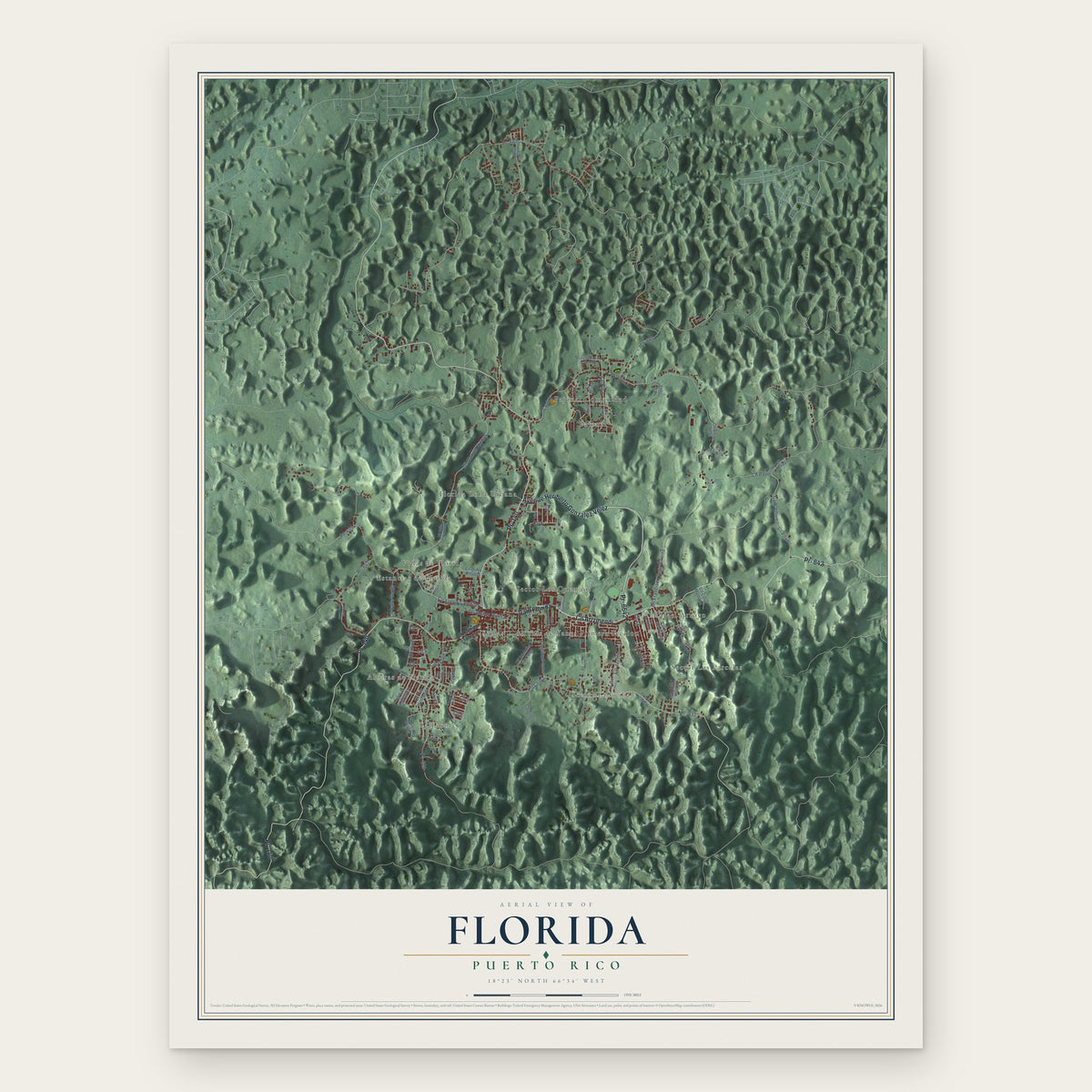 Florida, Puerto Rico map print, the full design