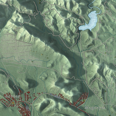 Close-up of the map of Guánica, Puerto Rico print showing street and building detail