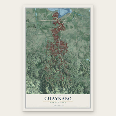 Guaynabo, Puerto Rico map print, the full design