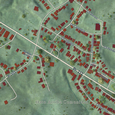 Close-up of the map of Hato Arriba, Puerto Rico print showing street and building detail