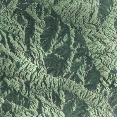 Close-up of the map of Lares, Puerto Rico print showing street and building detail