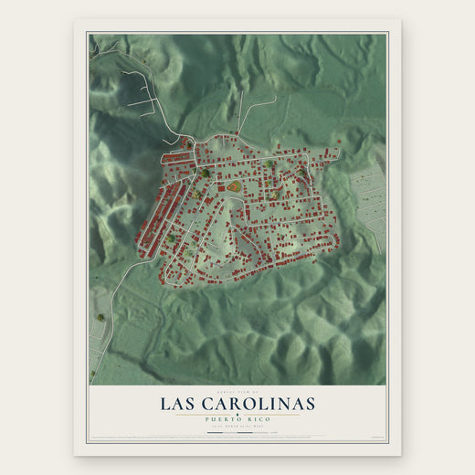 Las Carolinas, Puerto Rico map print, the full design