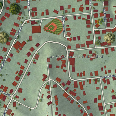 Close-up of the map of Las Carolinas, Puerto Rico print showing street and building detail