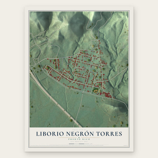 Liborio Negrón Torres, Puerto Rico map print, the full design