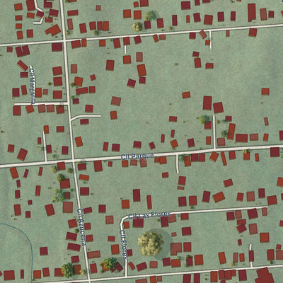 Close-up of the map of Lluveras, Puerto Rico print showing street and building detail