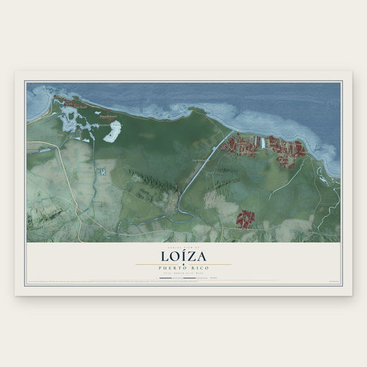 Loíza, Puerto Rico map print, the full design