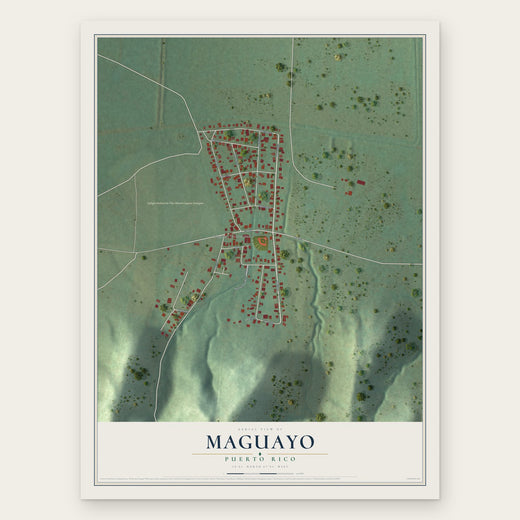 Maguayo, Puerto Rico map print, the full design