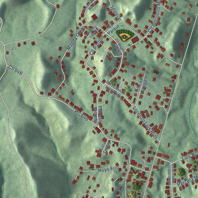 Close-up of the map of Miranda, Puerto Rico print showing street and building detail