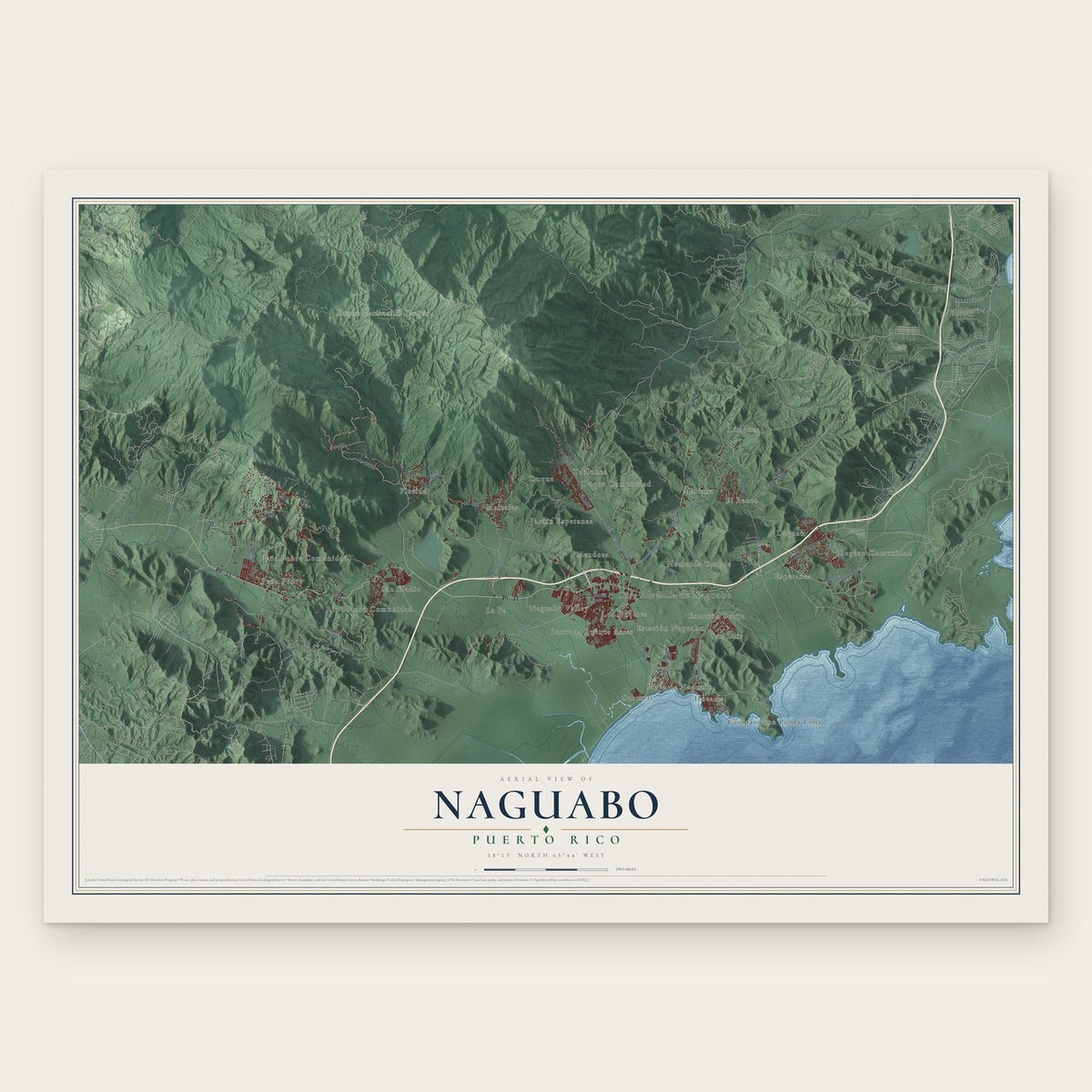 Naguabo, Puerto Rico map print, the full design