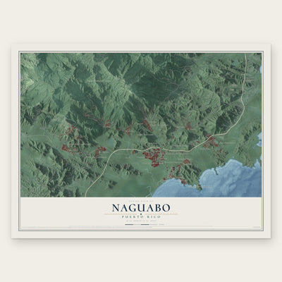 Naguabo, Puerto Rico map print, the full design