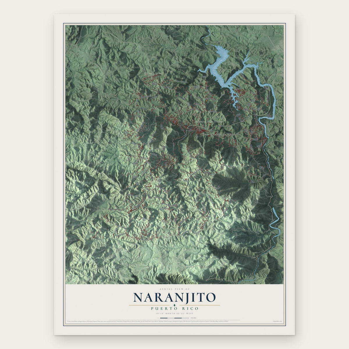 Naranjito, Puerto Rico map print, the full design
