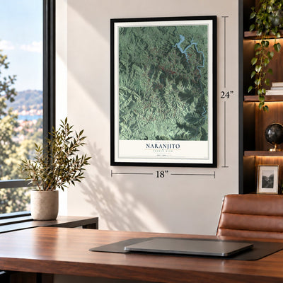 Naranjito, Puerto Rico map, 18 x 24 inch print in a black frame in a home office