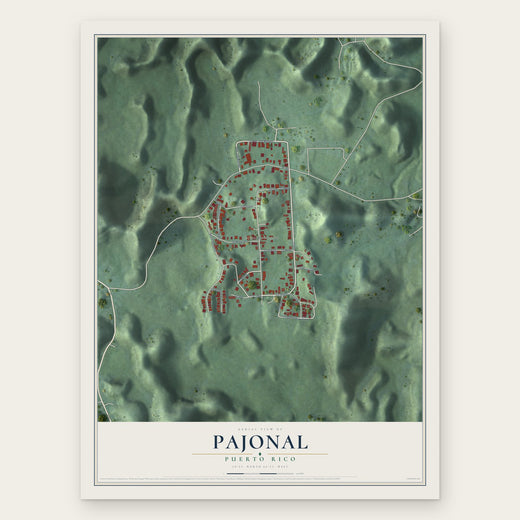 Pajonal, Puerto Rico map print, the full design