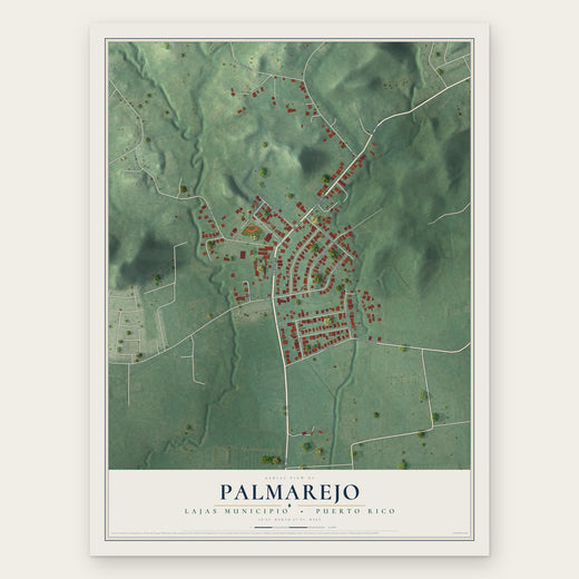 Palmarejo, Lajas Municipio, Puerto Rico map print, the full design