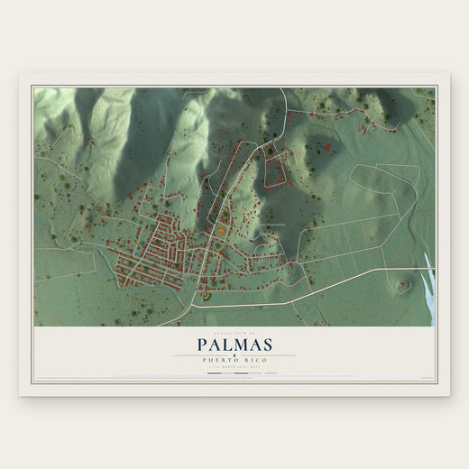 Palmas, Puerto Rico map print, the full design