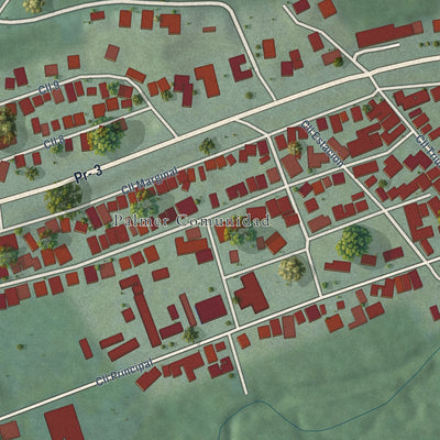 Close-up of the map of Palmer, Puerto Rico print showing street and building detail