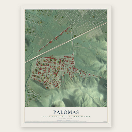 Palomas, Yauco Municipio, Puerto Rico map print, the full design