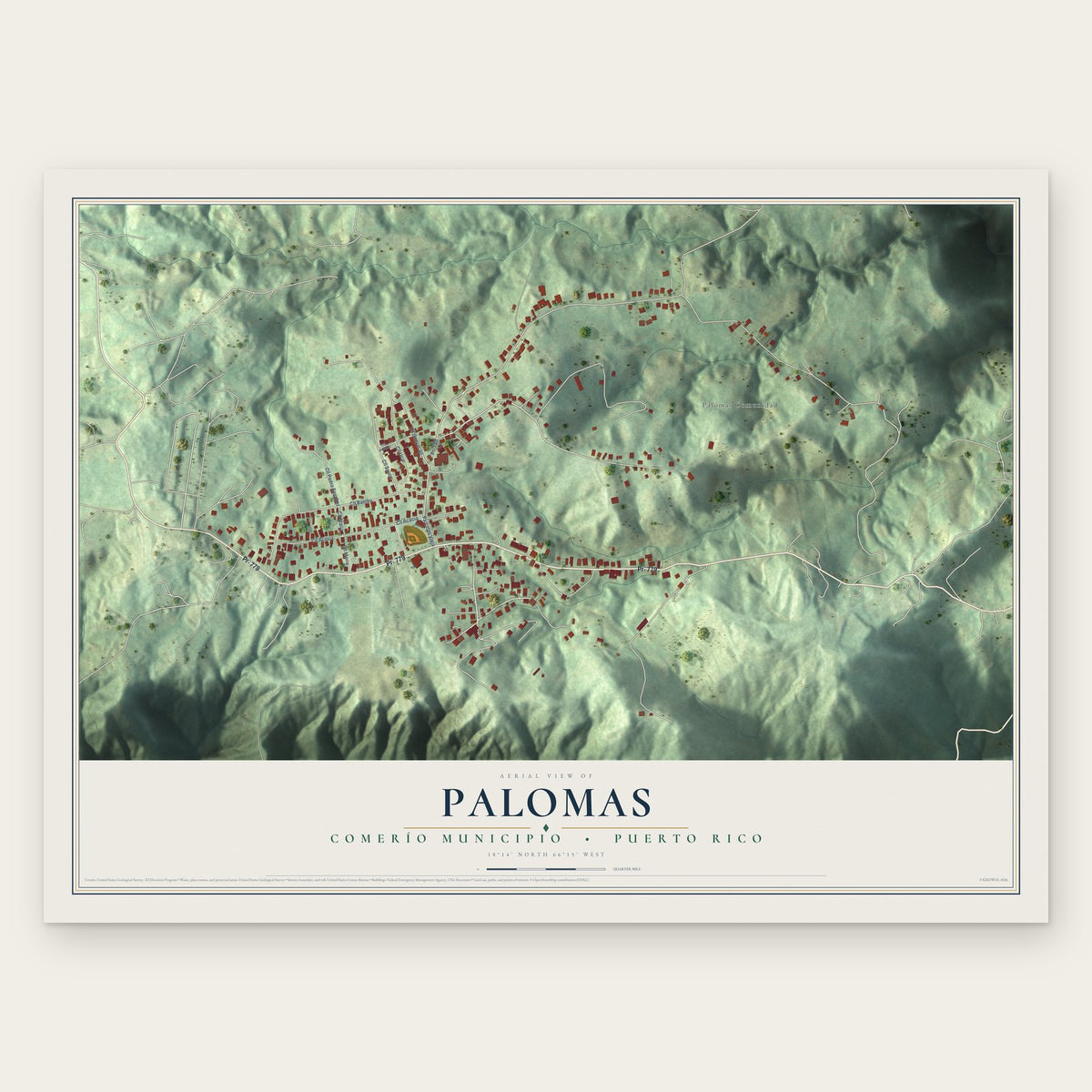 Palomas, Comerío Municipio, Puerto Rico map print, the full design