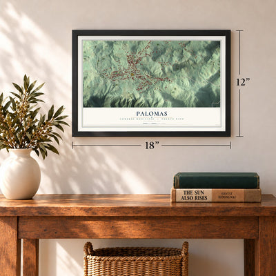 Palomas, Comerío Municipio, Puerto Rico map, 12 x 18 inch print in a black frame in an entryway