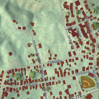 Close-up of the map of Palomas, Comerío Municipio, Puerto Rico print showing street and building detail