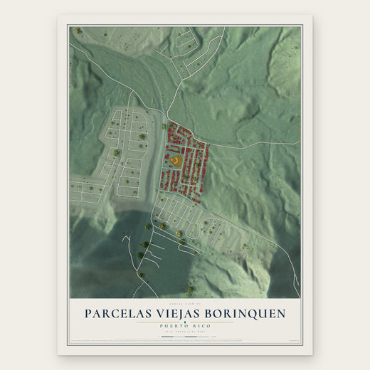 Parcelas Viejas Borinquen, Puerto Rico map print, the full design