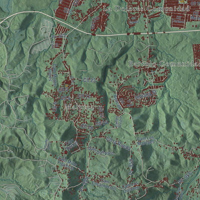 Close-up of the map of Río Grande, Puerto Rico print showing street and building detail