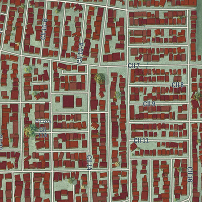 Close-up of the map of San Isidro, Puerto Rico print showing street and building detail