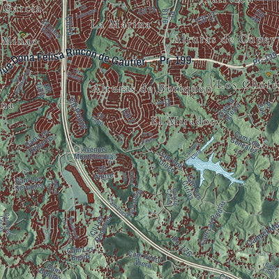 Close-up of the map of San Juan, Puerto Rico print showing street and building detail
