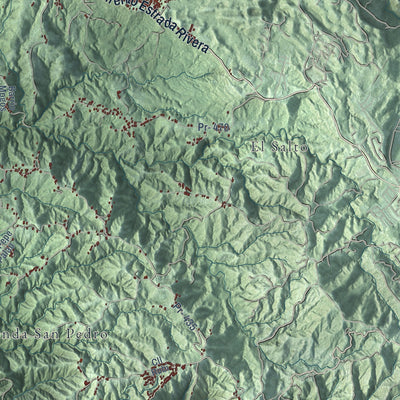 Close-up of the map of San Sebastián, Puerto Rico print showing street and building detail