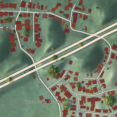 Close-up of the map of Tiburones, Puerto Rico print showing street and building detail