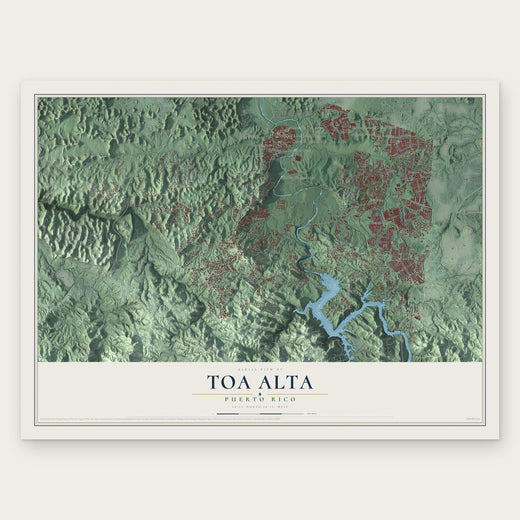 Toa Alta, Puerto Rico map print, the full design