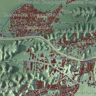 Close-up of the map of Toa Baja, Puerto Rico print showing street and building detail