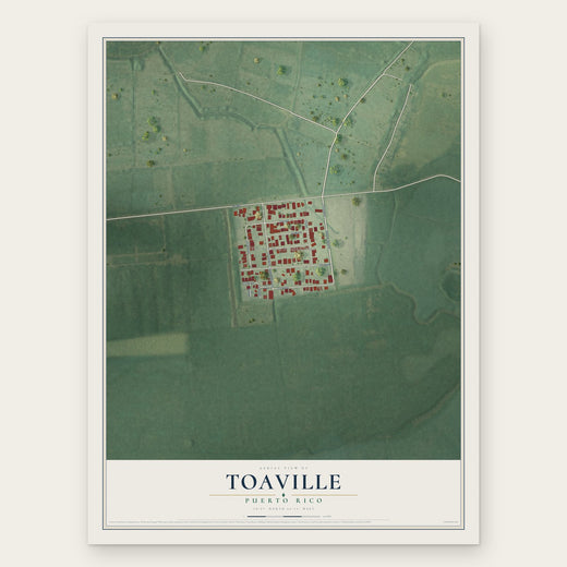 Toaville, Puerto Rico map print, the full design