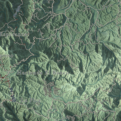Close-up of the map of Utuado, Puerto Rico print showing street and building detail