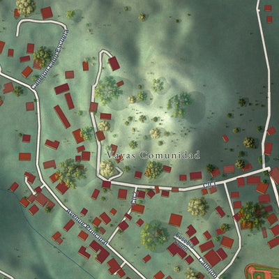 Close-up of the map of Vayas, Puerto Rico print showing street and building detail