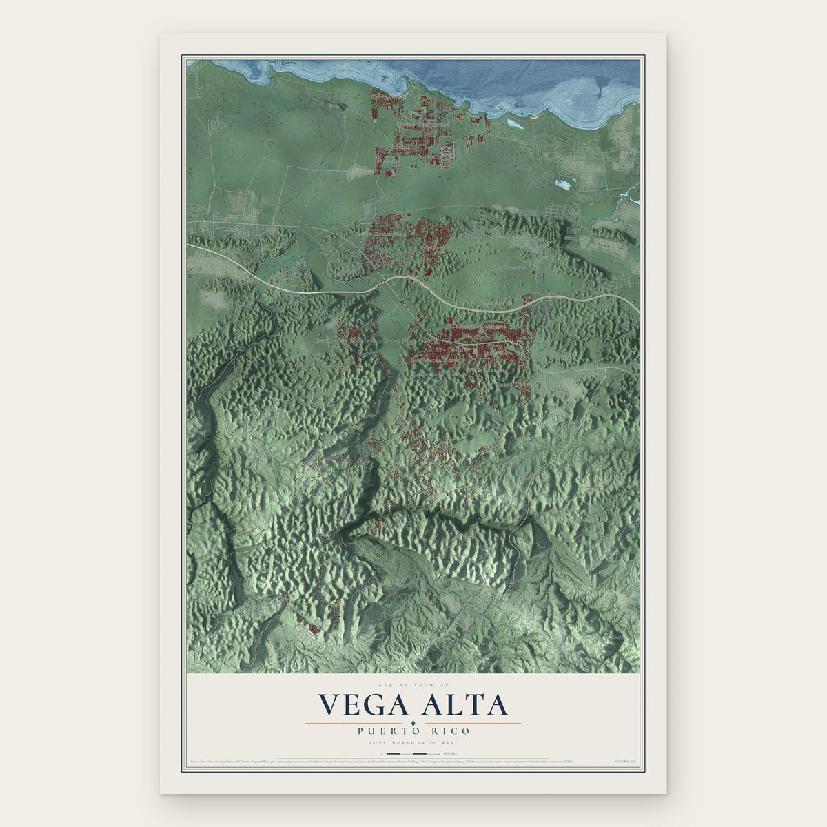 Vega Alta, Puerto Rico map print, the full design