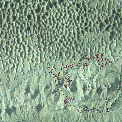 Close-up of the map of Vega Baja, Puerto Rico print showing street and building detail
