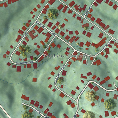 Close-up of the map of Voladoras, Puerto Rico print showing street and building detail