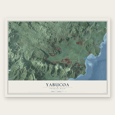 Yabucoa, Puerto Rico map print, the full design