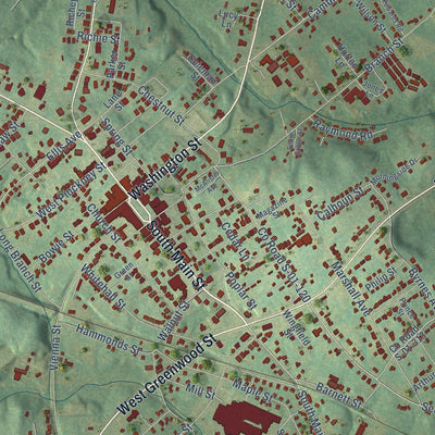 Close-up of the map of Abbeville, South Carolina print showing street and building detail