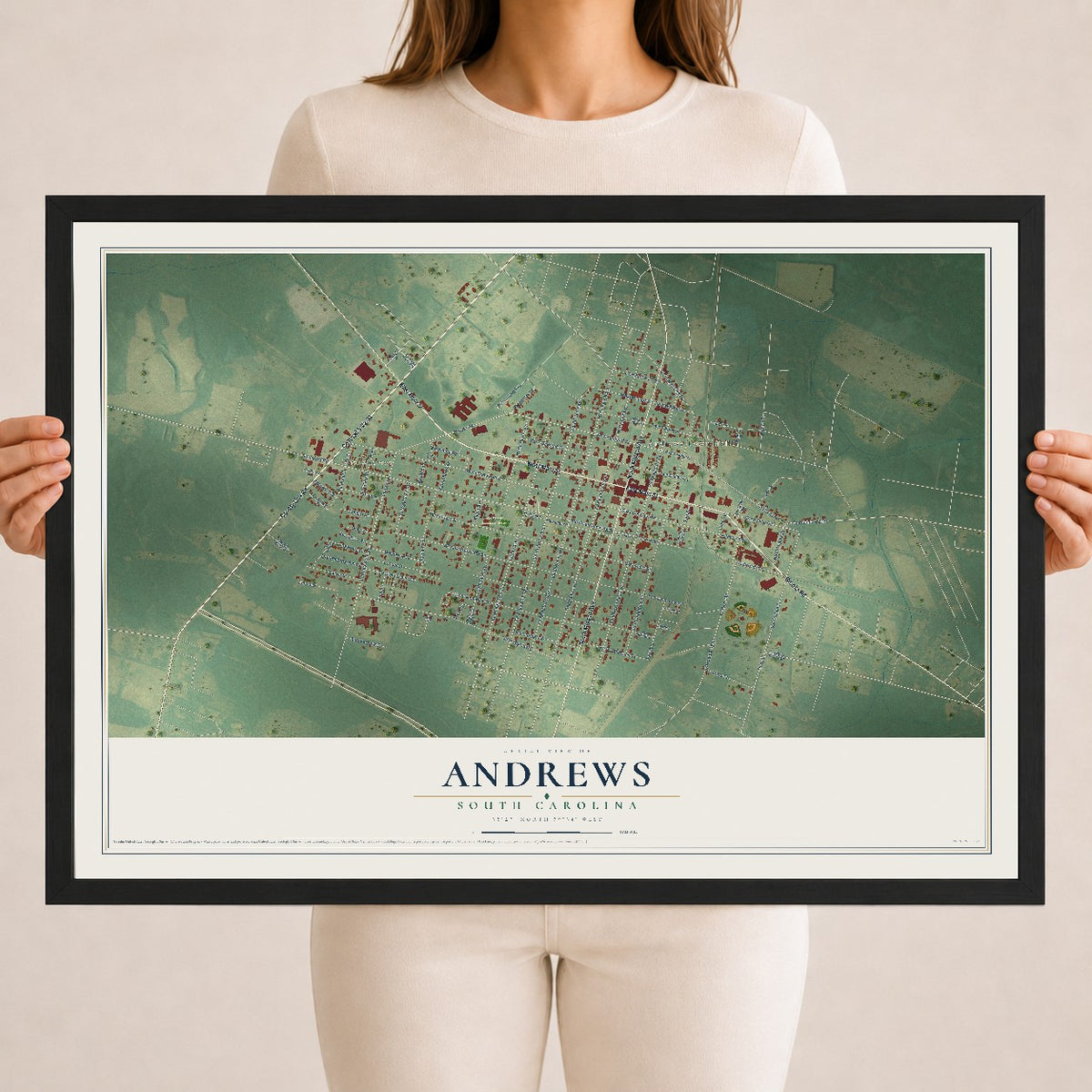Map of Andrews, South Carolina, 18 x 24 inch print in a black wood frame
