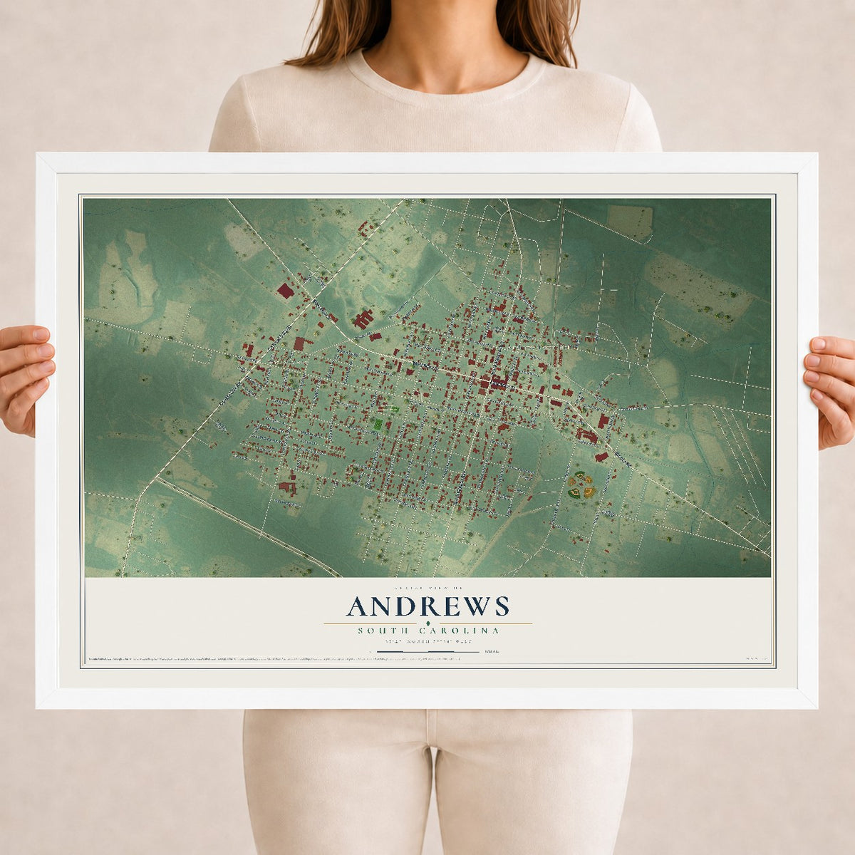 Map of Andrews, South Carolina, 18 x 24 inch print in a white wood frame