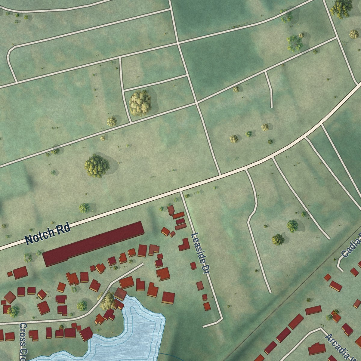 Second close-up of the map of Arcadia Lakes, South Carolina print showing more streets and buildings