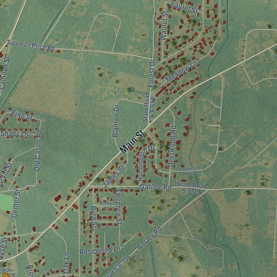 Second close-up of the map of Barnwell, South Carolina print showing more streets and buildings